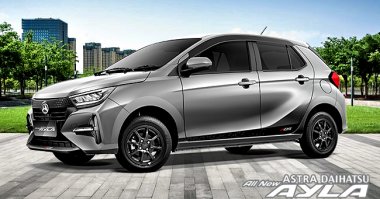 Warna Glittering Silver 